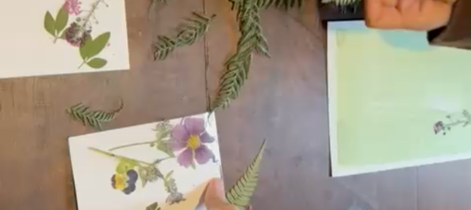 Taller Cianotipia con plantas