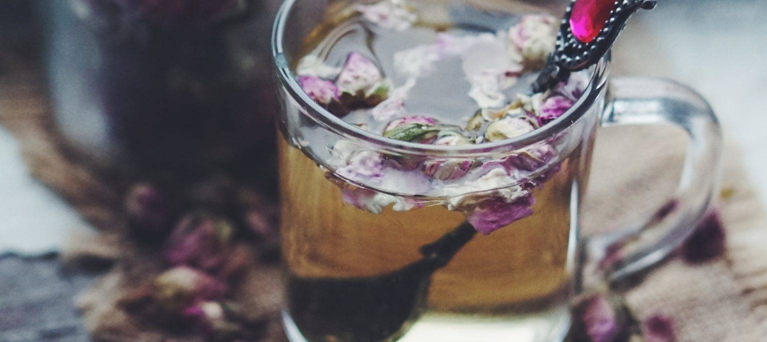 Taller de integración pinta con infusiones